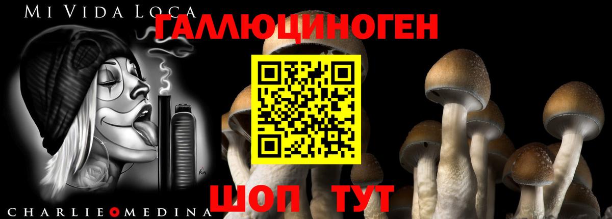 Псилоцибиновые грибы Magic Shrooms  Вход с VPN  Братск  Галлюциногенные грибы GOLDEN TEACHER 